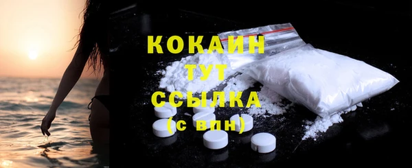 спиды Новодвинск