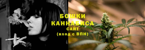 спиды Новодвинск