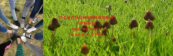 ГАЛЛЮЦИНОГЕННЫЕ ГРИБЫ Нягань