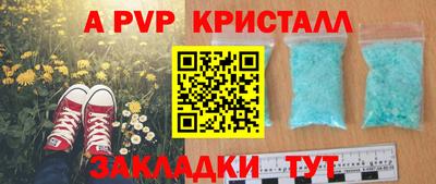 крисы Гусев