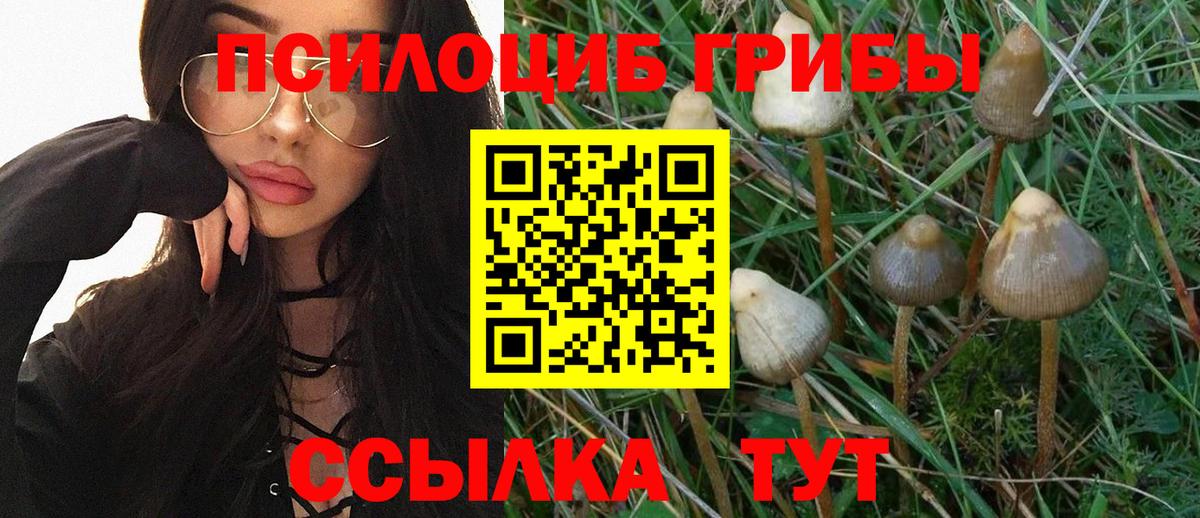 Псилоцибиновые грибы мухоморы Грязи